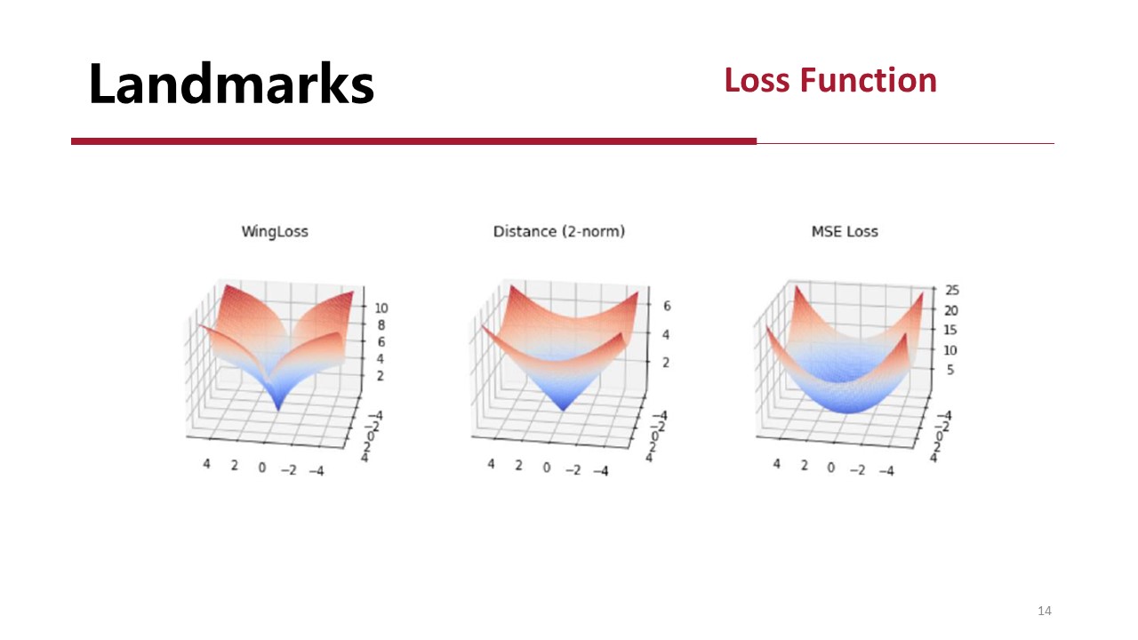 Landmark Model Example Slide14